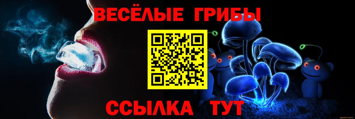 Псилоцибиновые грибы Magic Shrooms Мыски